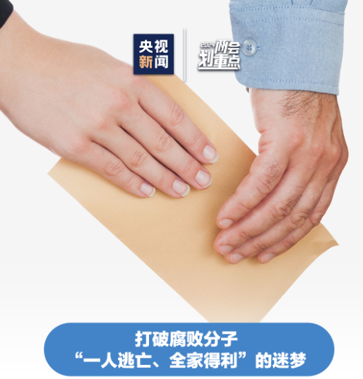 干货！“两高”汇报速览→